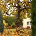 Herbst 2