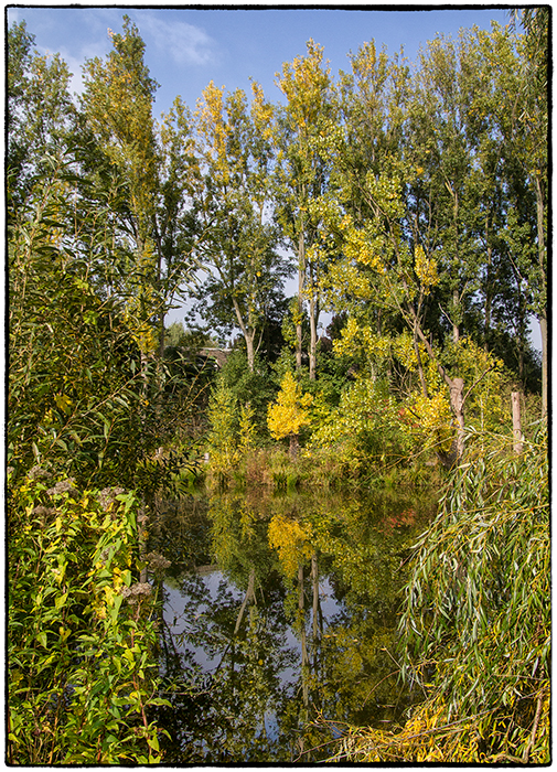 Herbst (2)