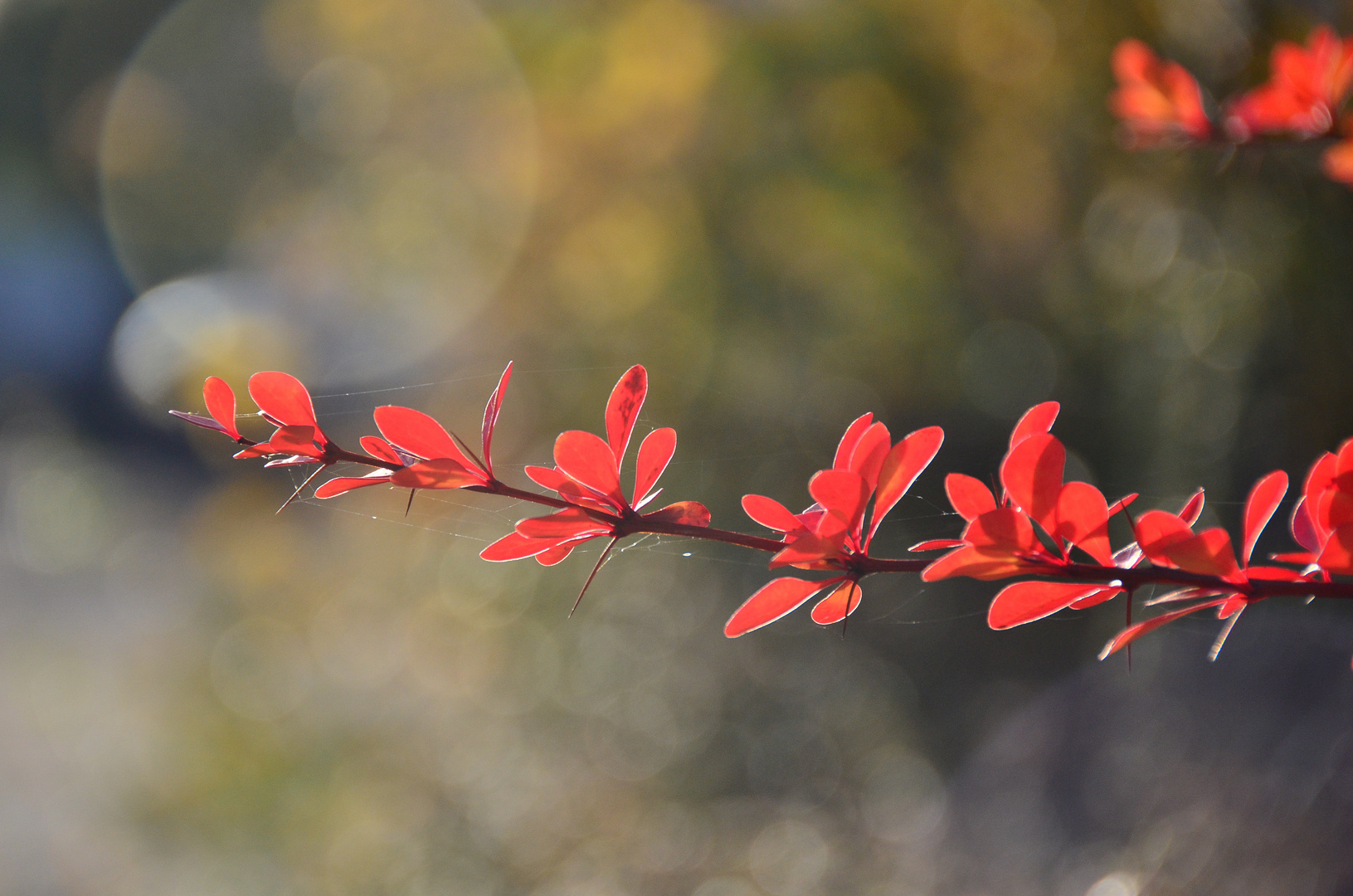 Herbst 2