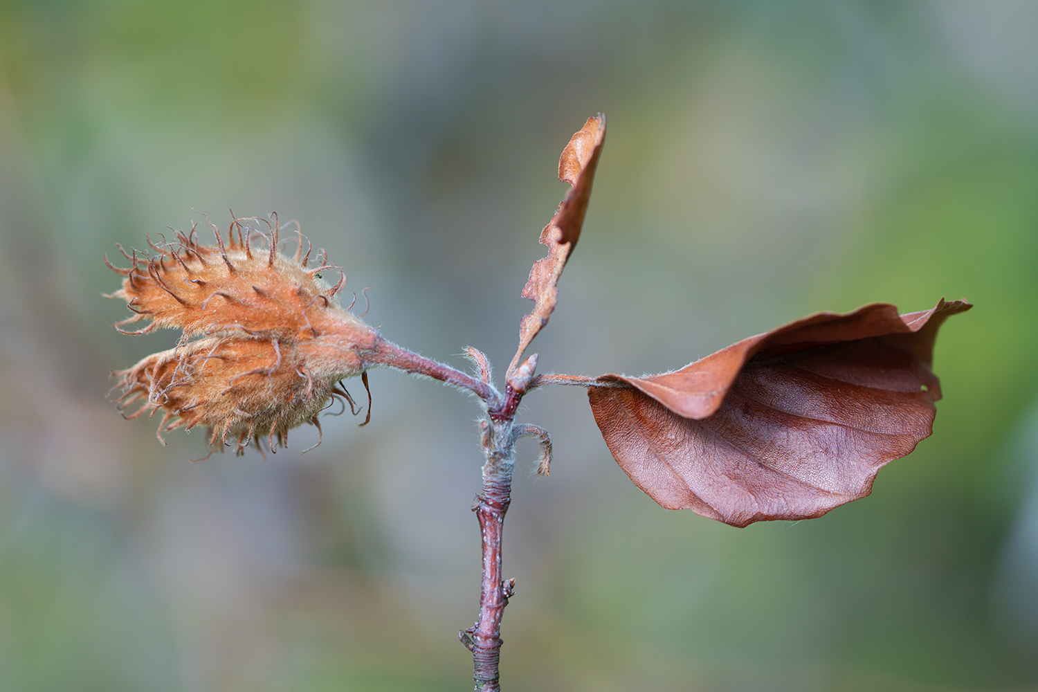 Herbst 2