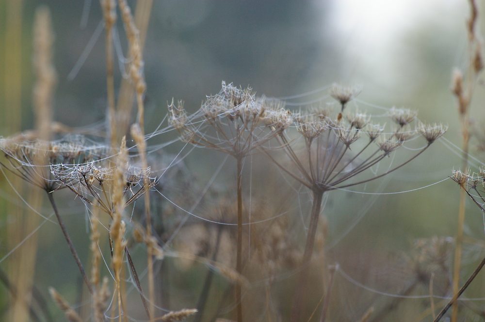 Herbst 2