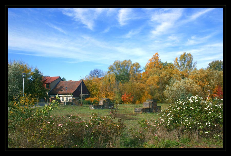 Herbst (2)