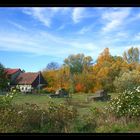 Herbst (2)