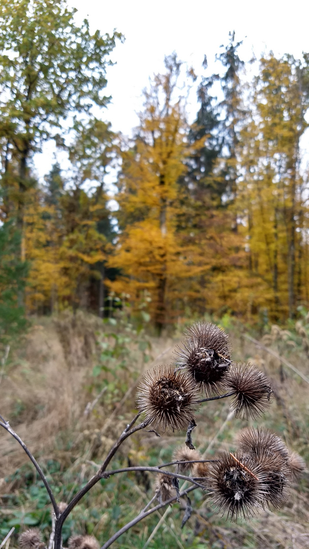 Herbst 2