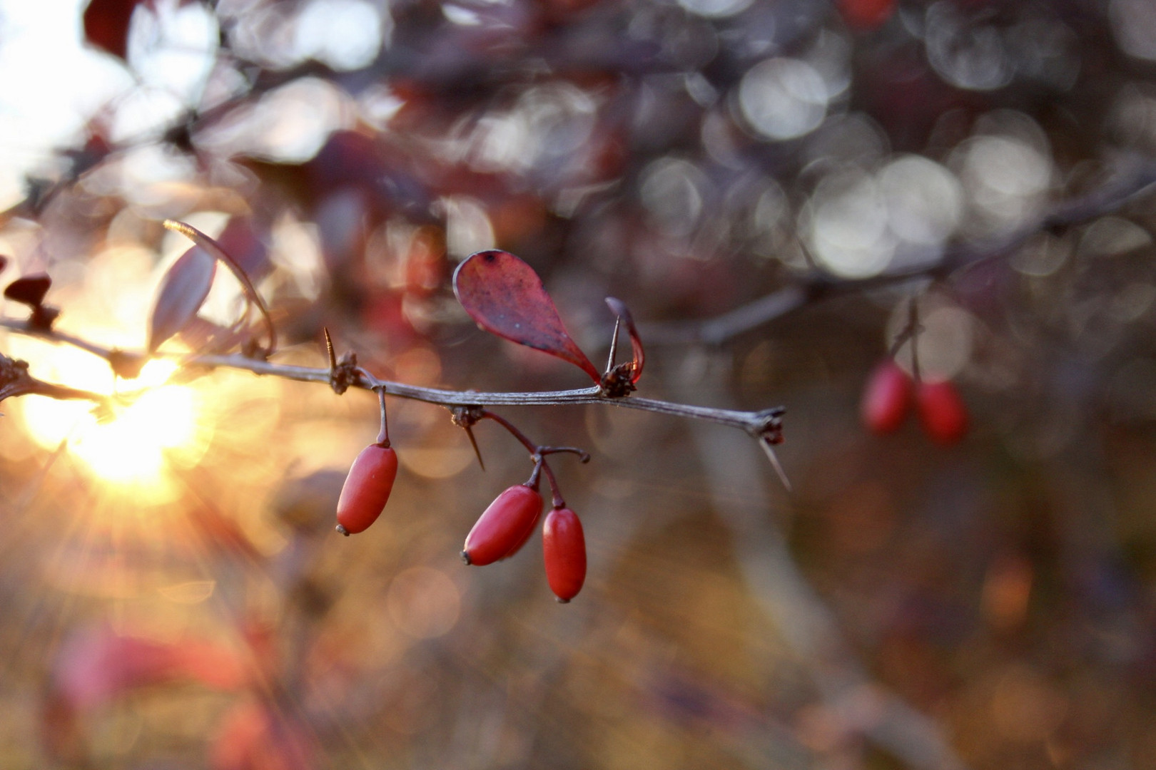 Herbst 2