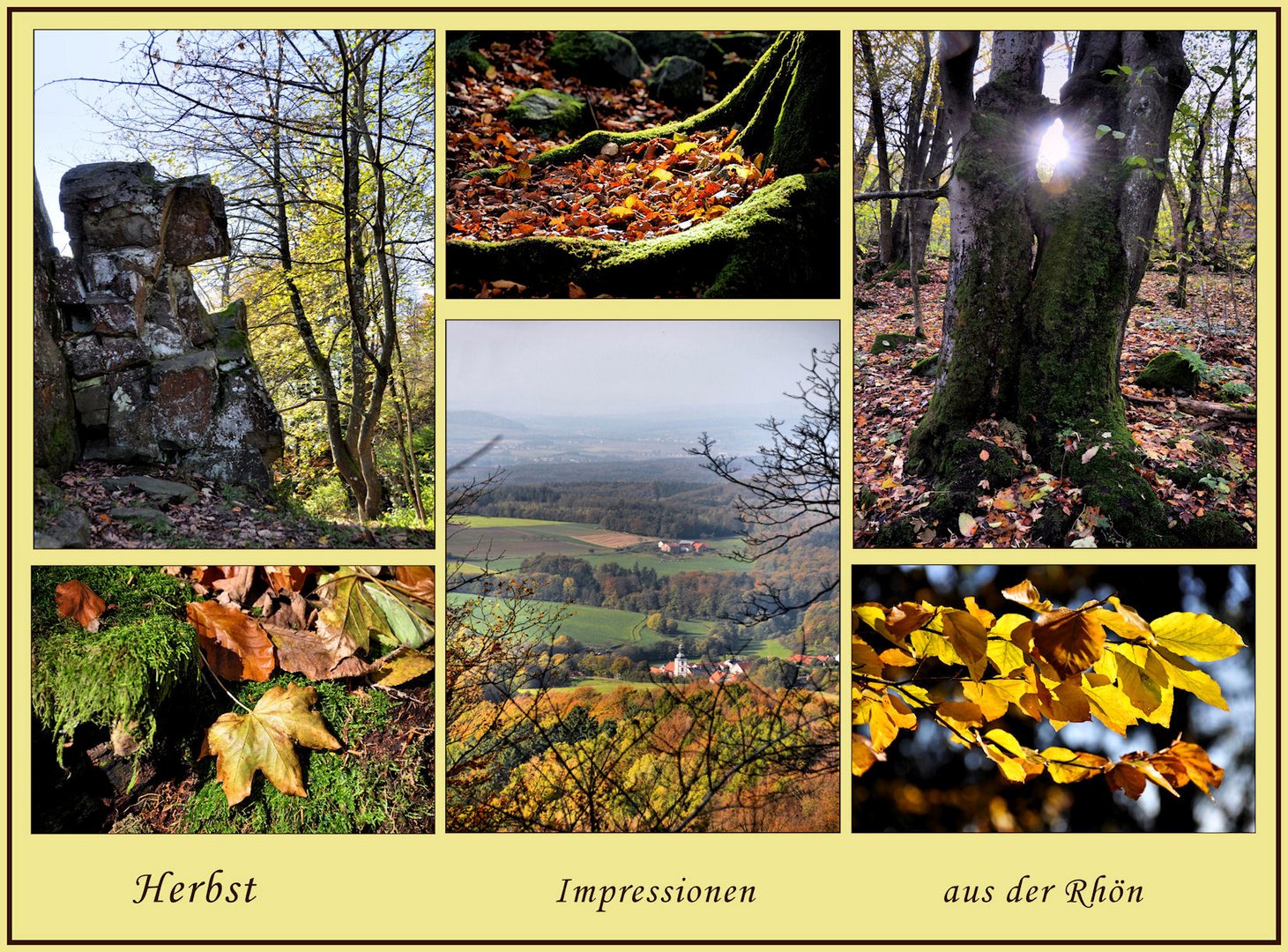 HERBST - 2 -  Impressionen