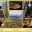 HERBST - 2 -  Impressionen