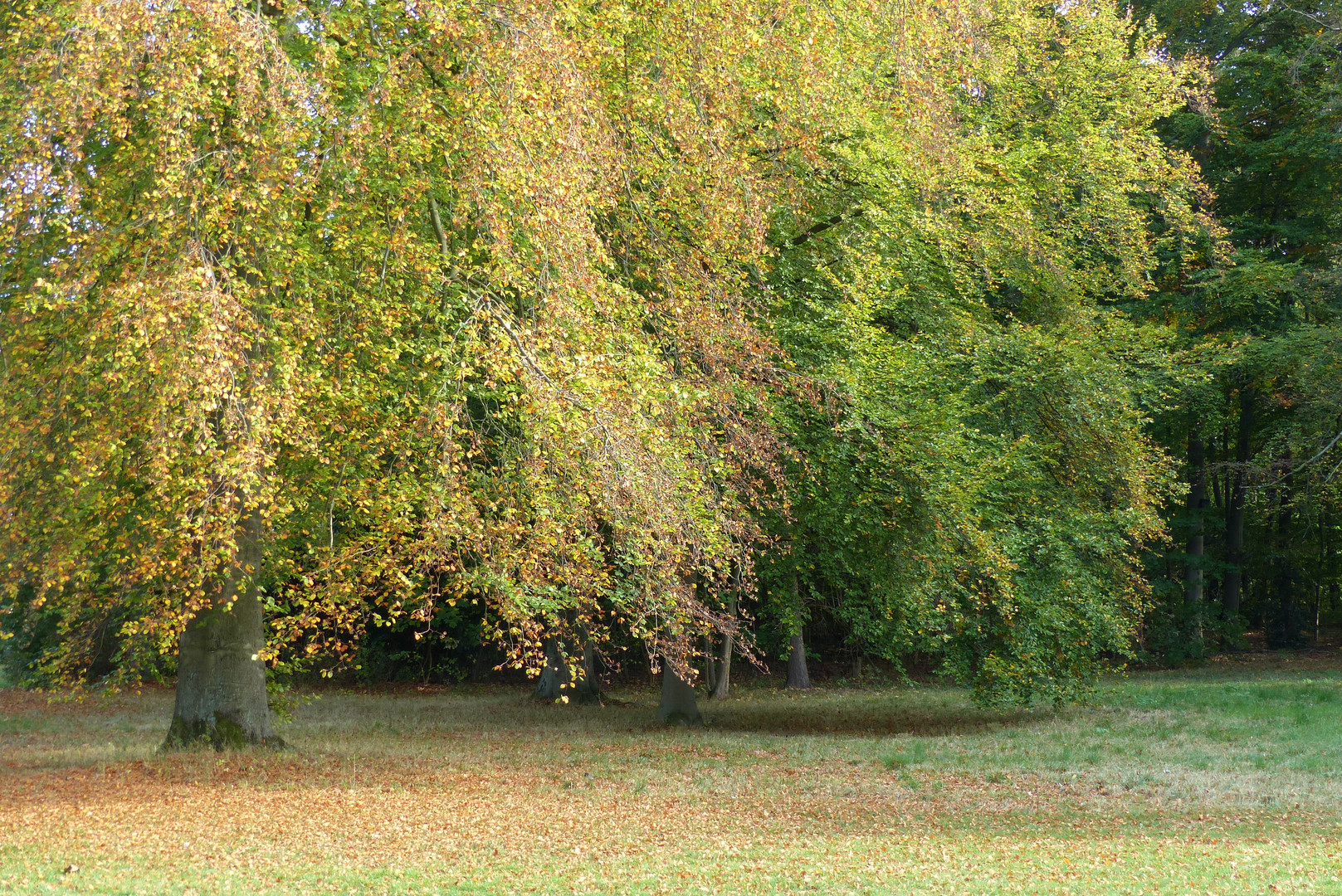 Herbst 2 - Oktober 2018