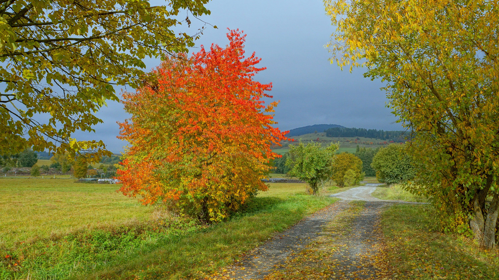 Herbst, 2 (otoño, 2)