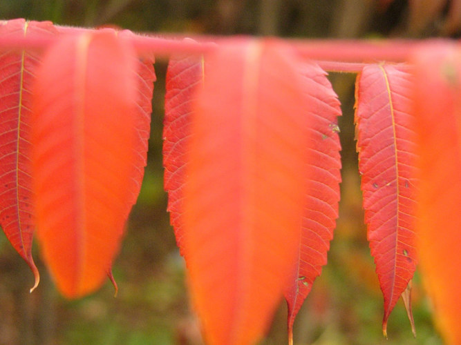 Herbst 2004