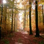 Herbst 2004 in der Eifel