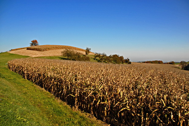 Herbst 2006