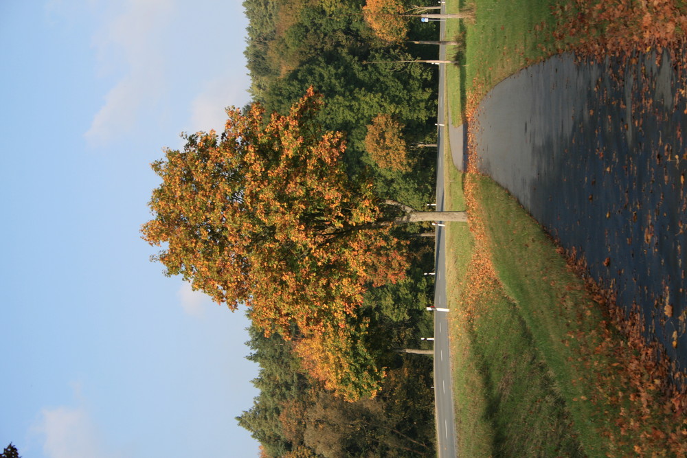 Herbst 2007