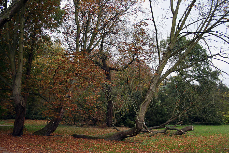 Herbst 2007