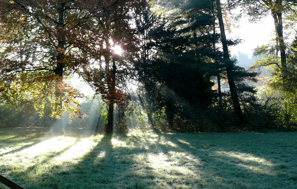 Herbst 2007 (4) Sonne auf den ersten Rauhreif