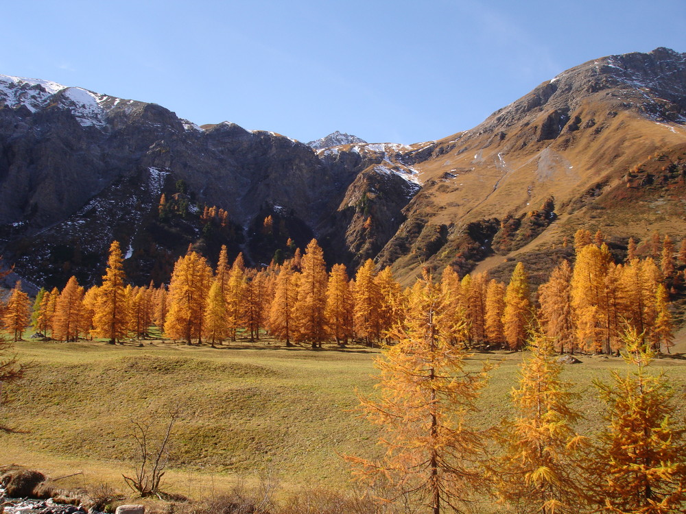 herbst 2007 davos