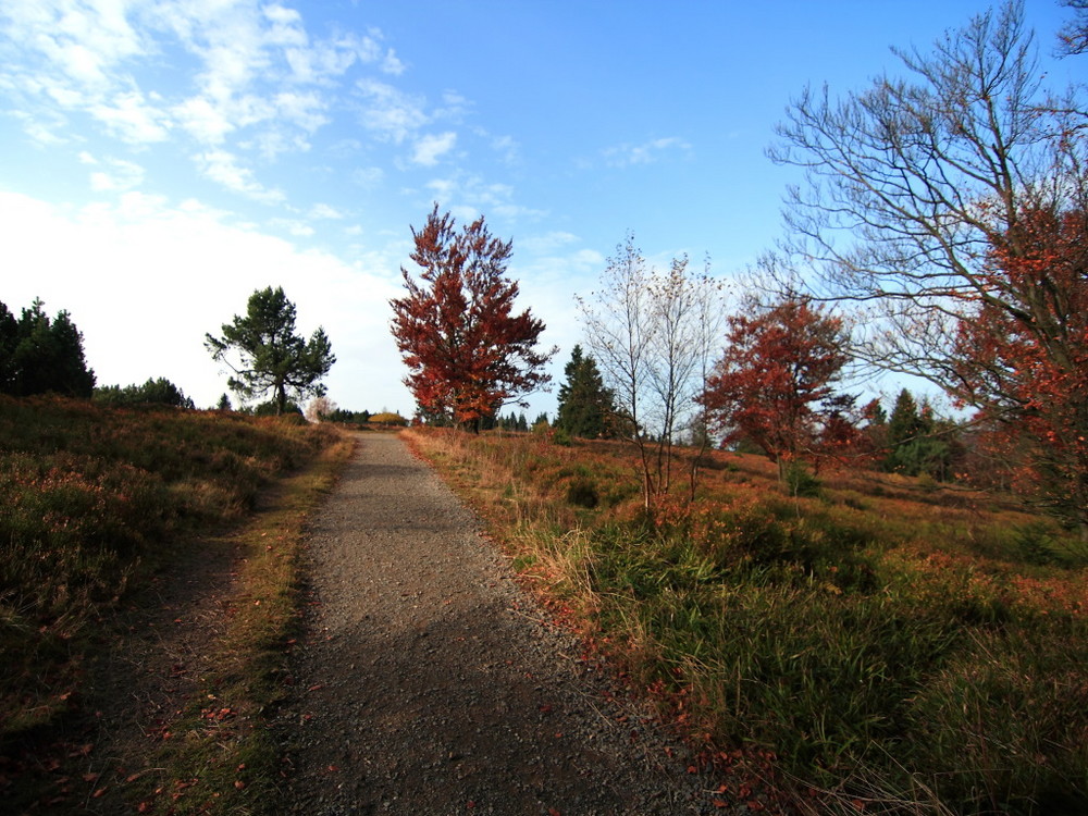 Herbst 2008 (12)