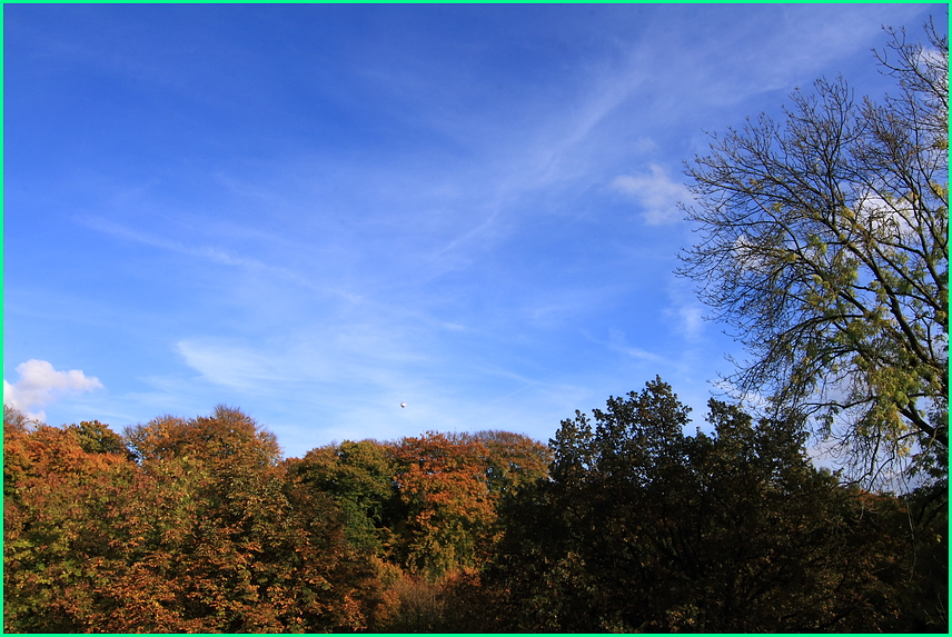 Herbst 2008 (20)