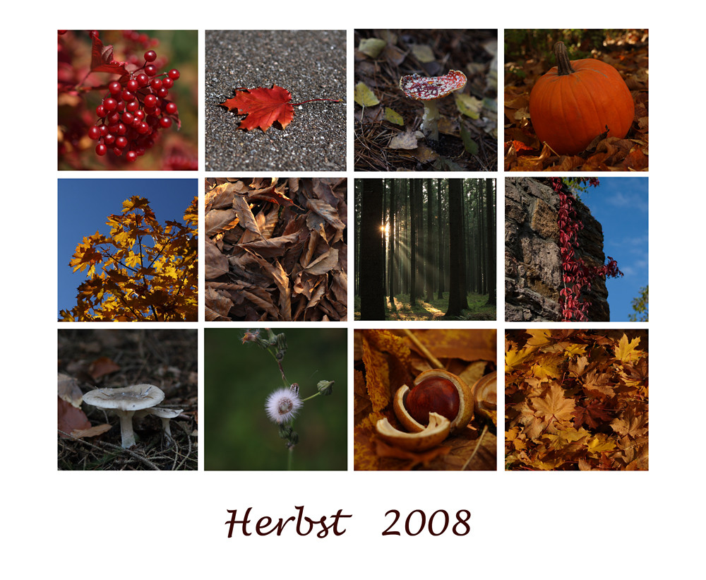 Herbst 2008