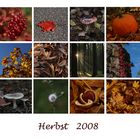 Herbst 2008