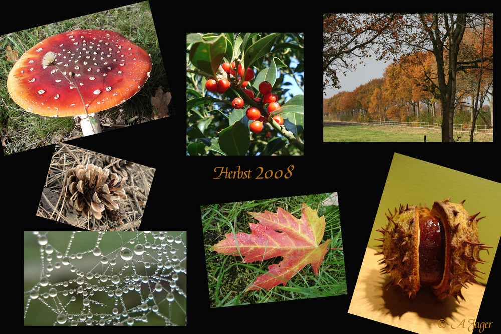 Herbst 2008..