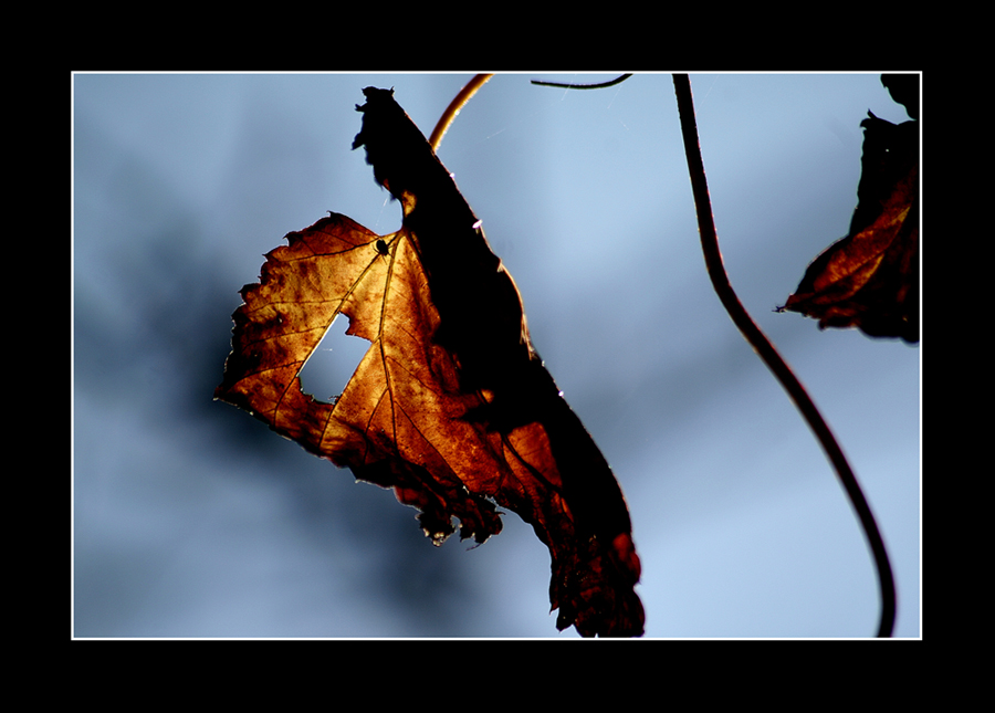 Herbst-2008