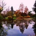 Herbst 2008 in der Kölner Flora