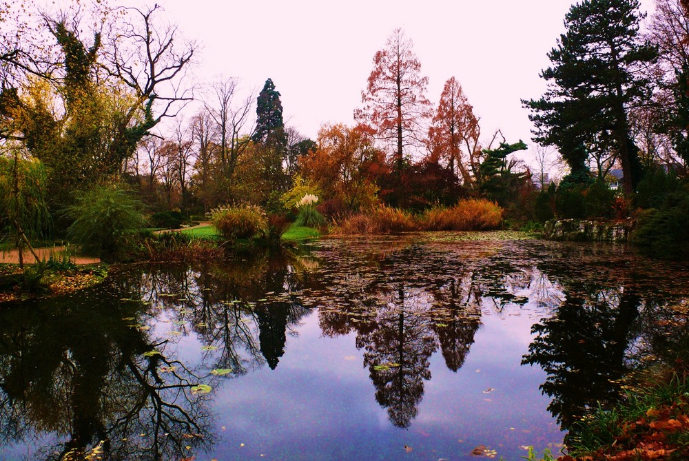 Herbst 2008 in der Kölner Flora