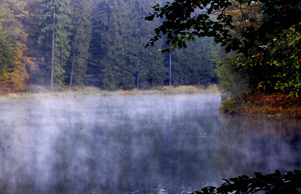 Herbst 2009 (09)