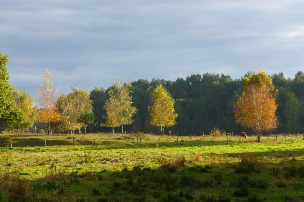 Herbst 2009