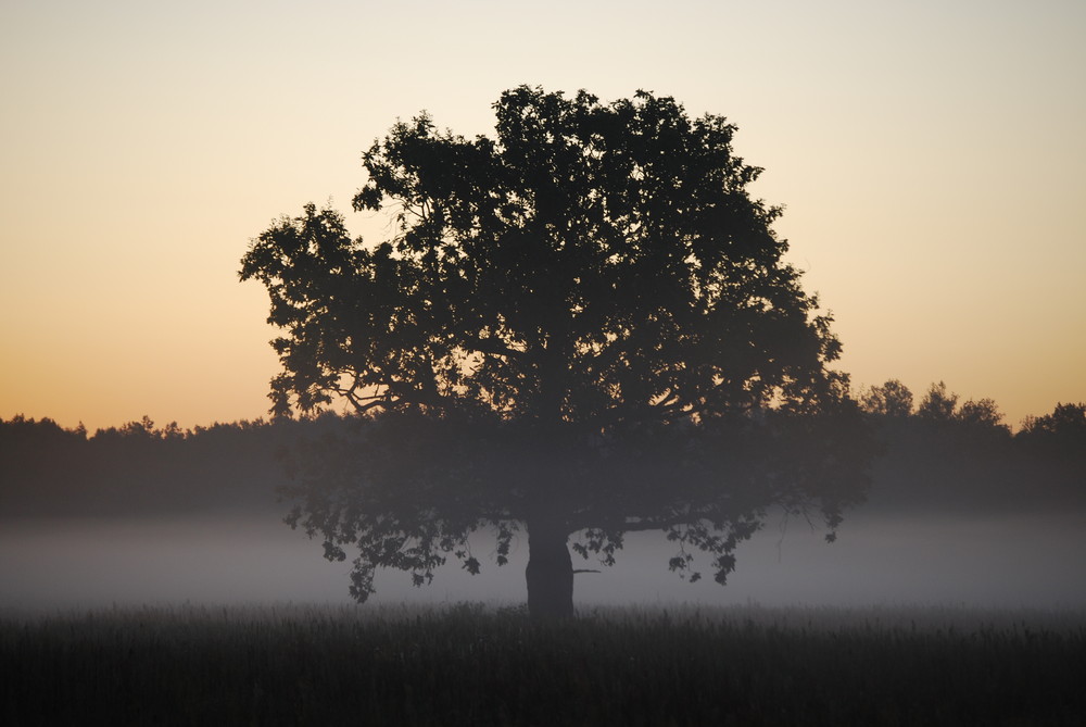 Herbst 2009 in Sachsen