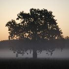 Herbst 2009 in Sachsen