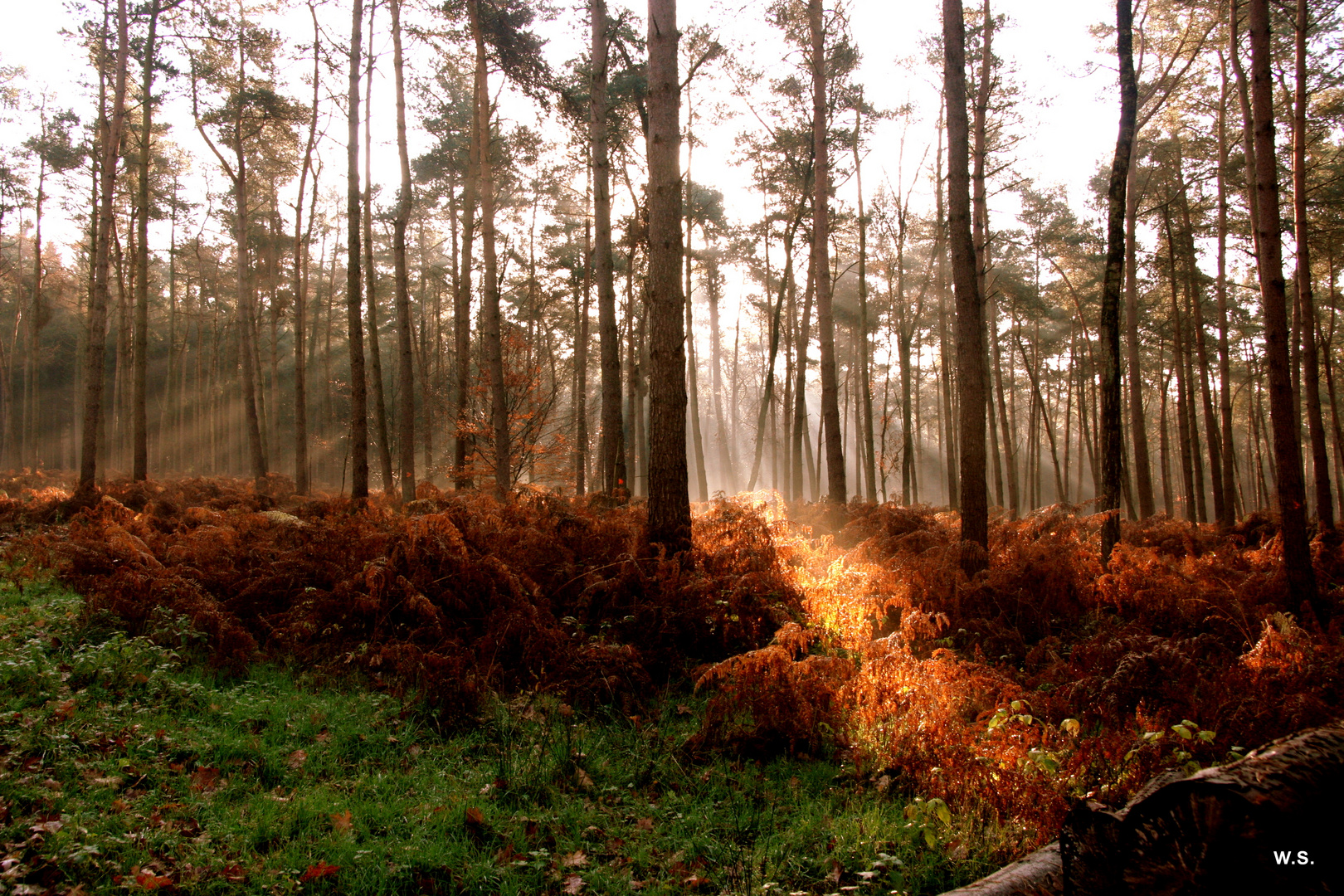 Herbst 2009.2