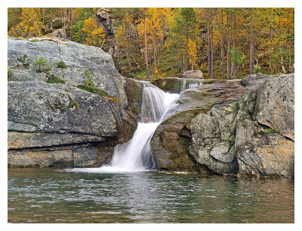 Herbst 2010 (3)