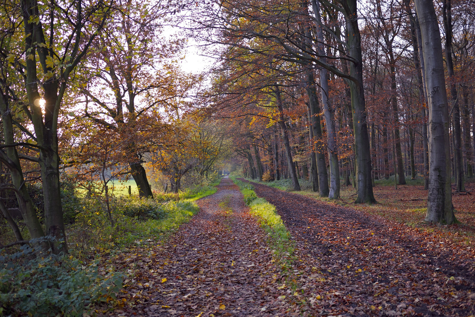 Herbst 2010