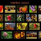 Herbst 2010