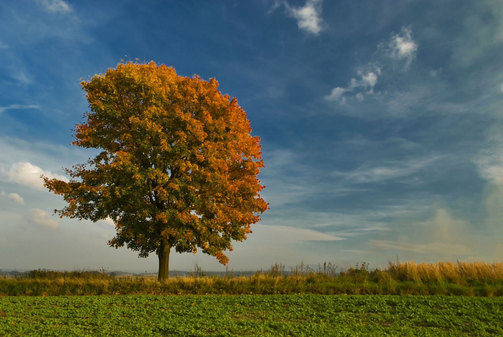 Herbst 2010