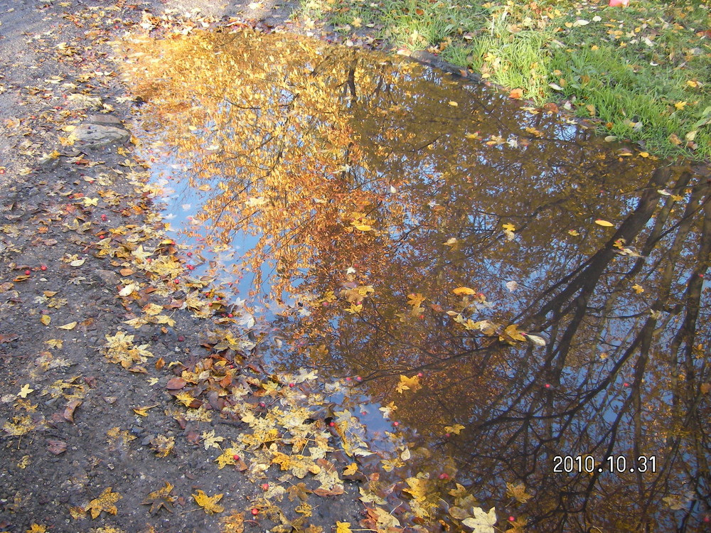 herbst 2010