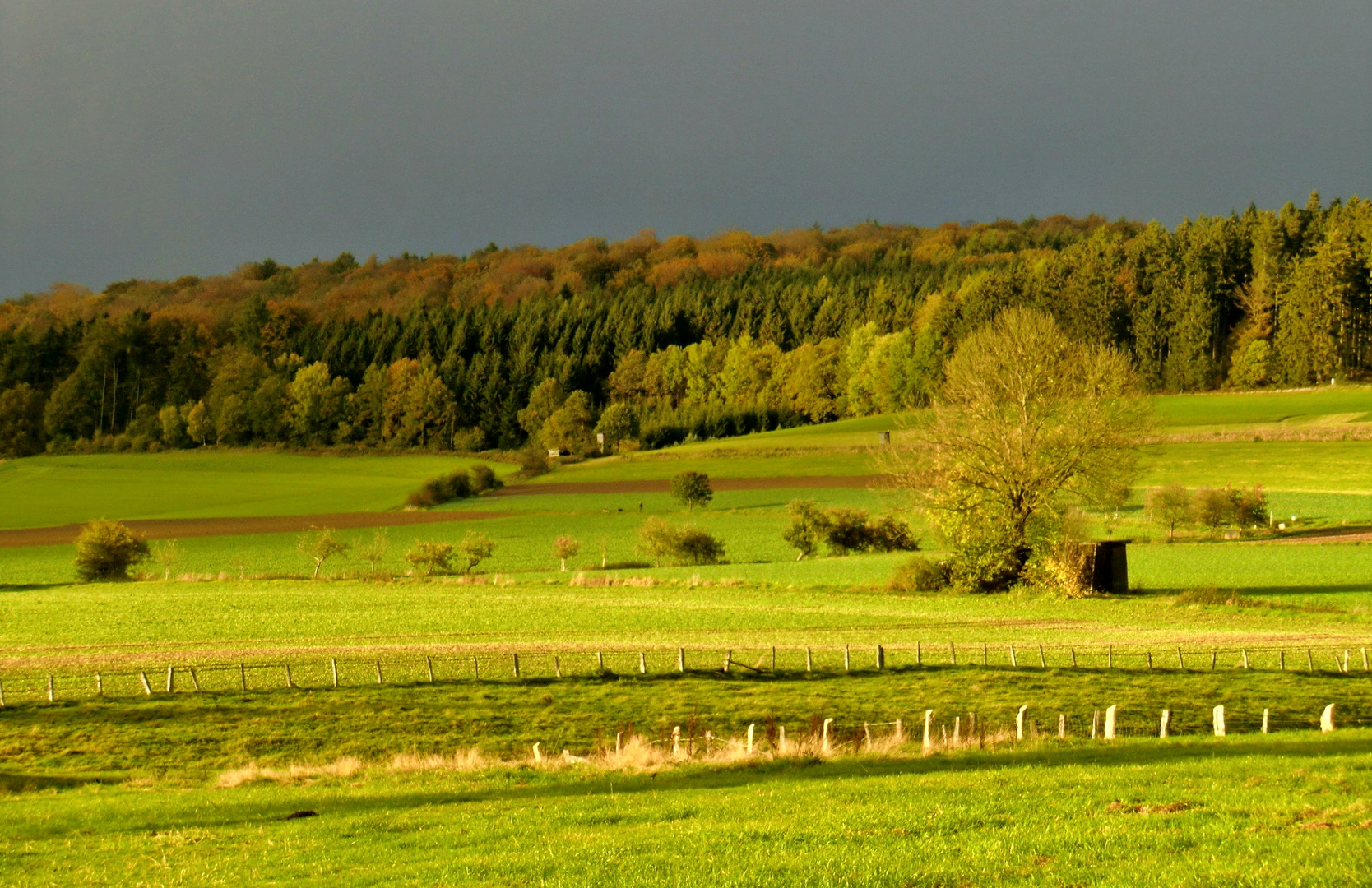 Herbst 2010 im Solling