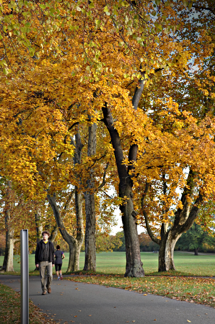 Herbst 2011 #3