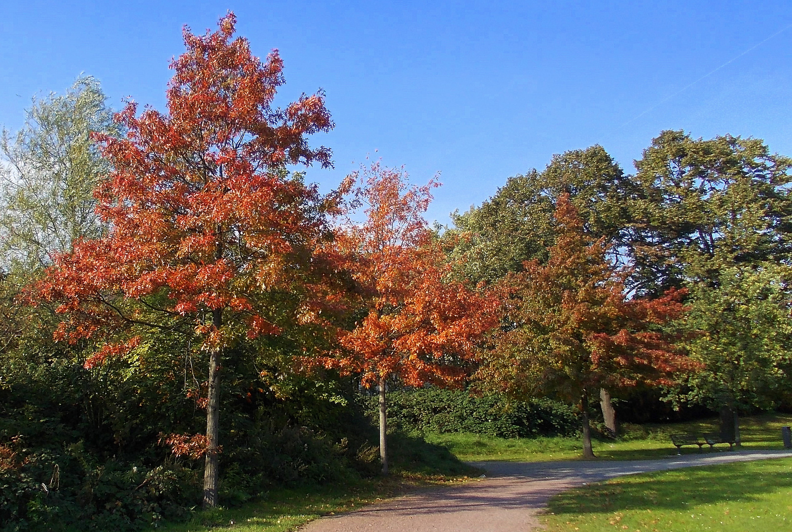 Herbst 2011