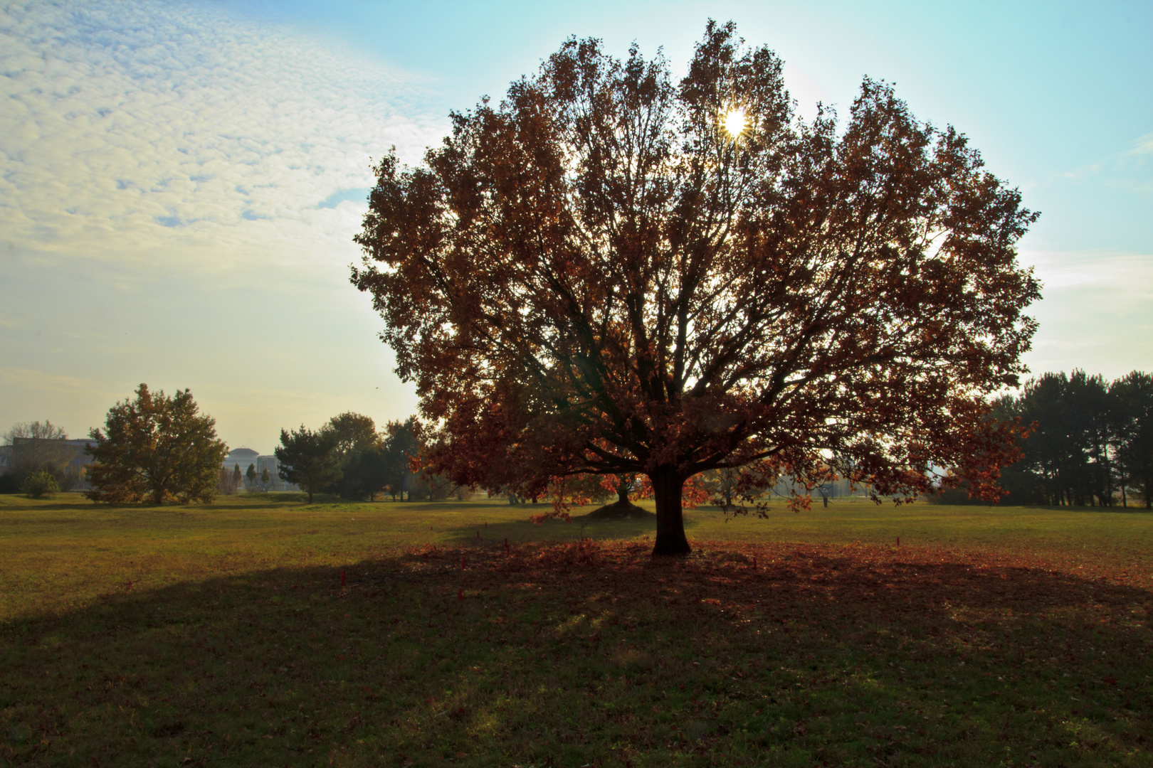 Herbst 2011