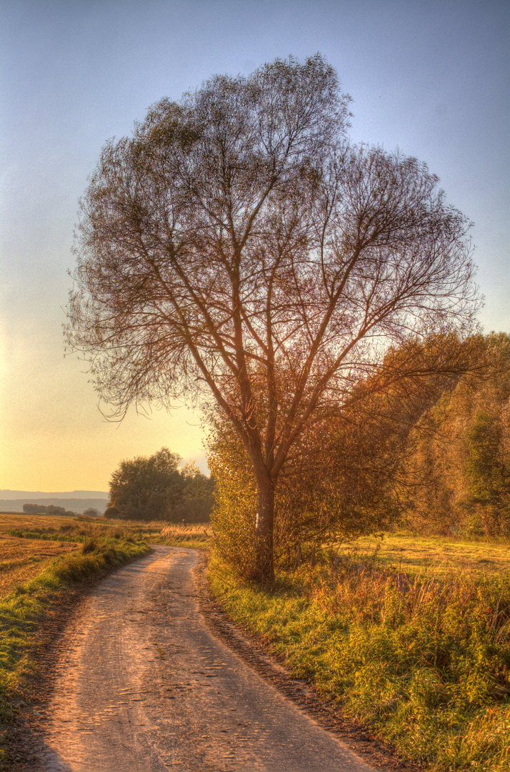 Herbst 2011