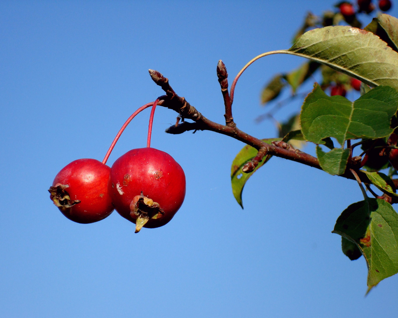 Herbst 2011