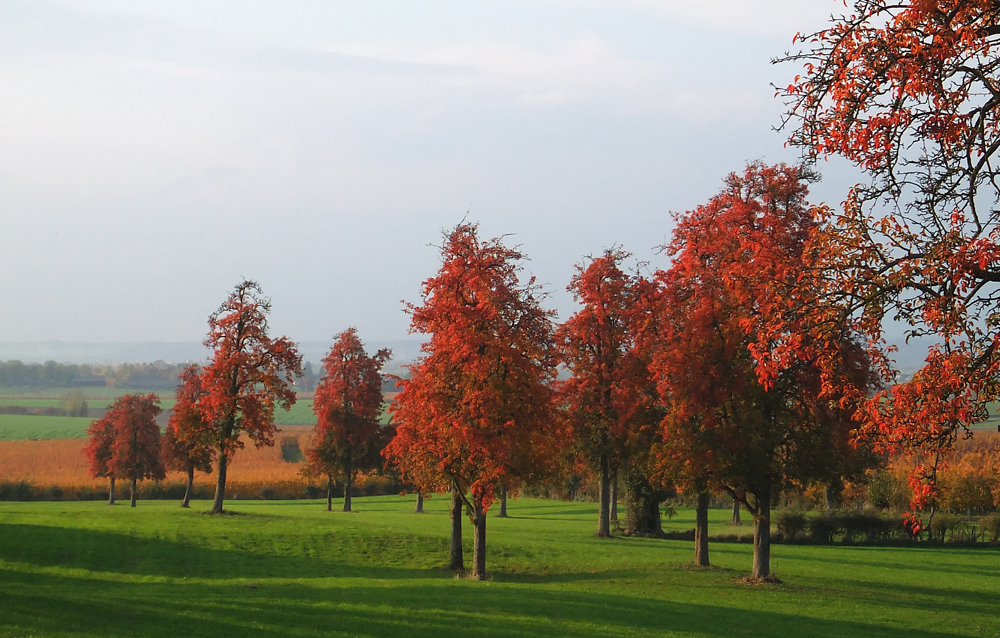 Herbst 2011