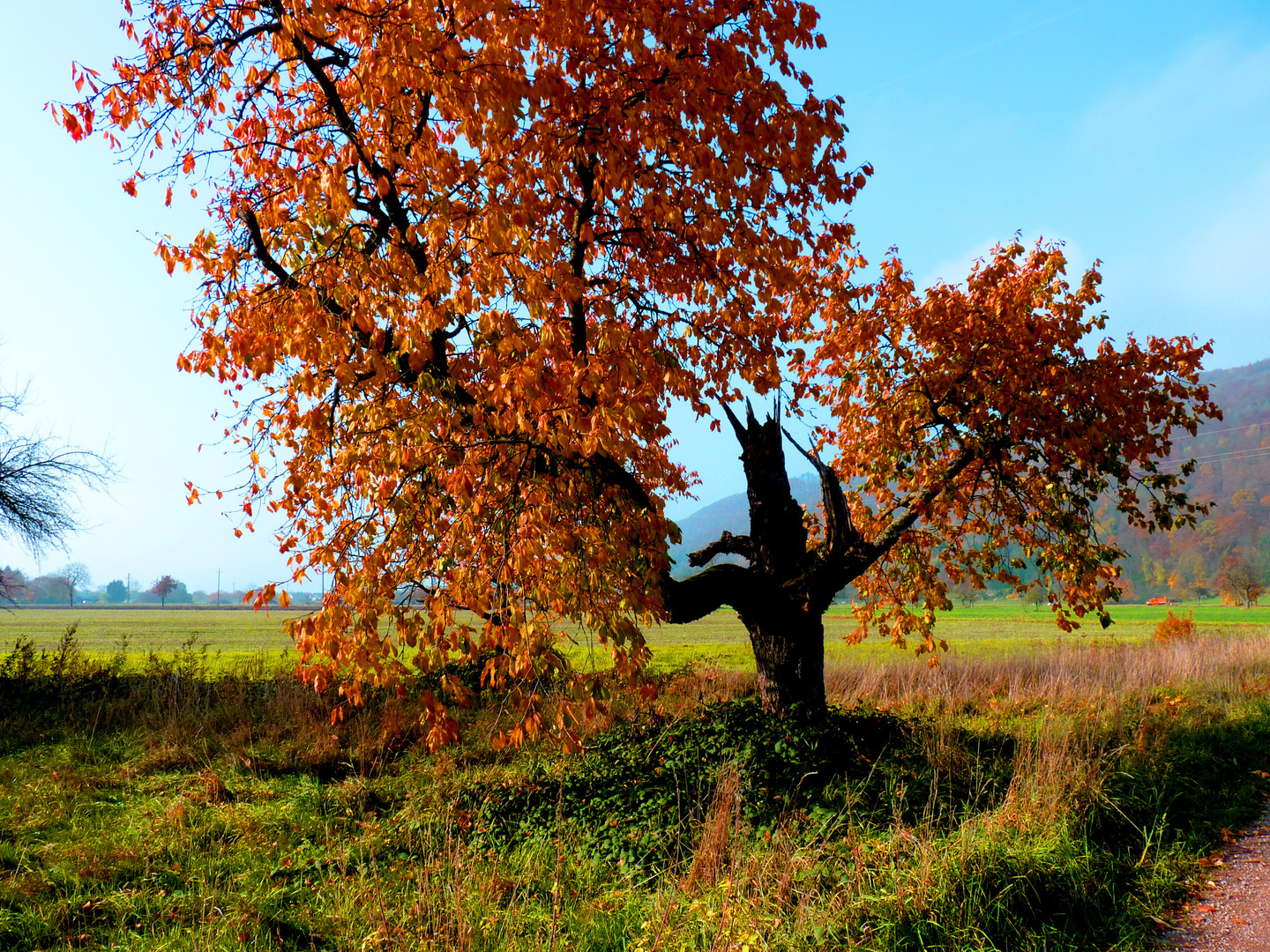 Herbst 2011