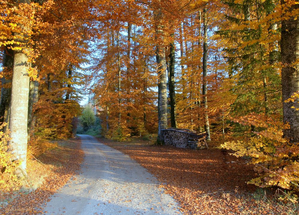 Herbst 2011