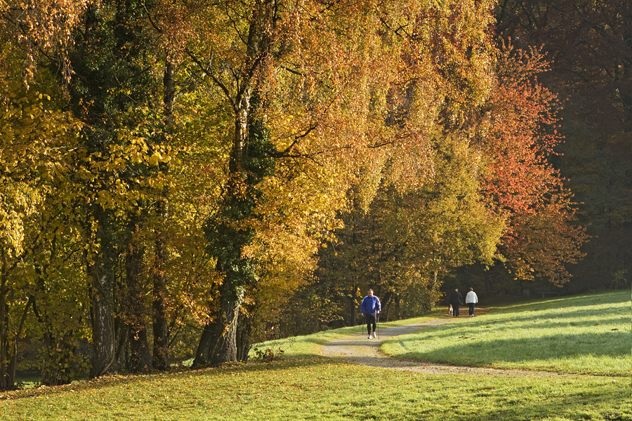 Herbst 2011 - V