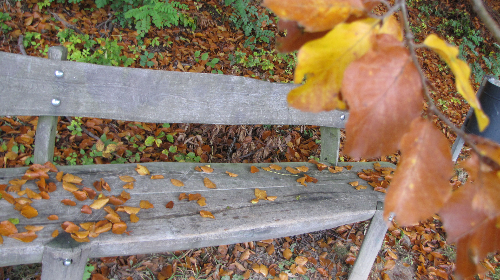 Herbst 2012-1