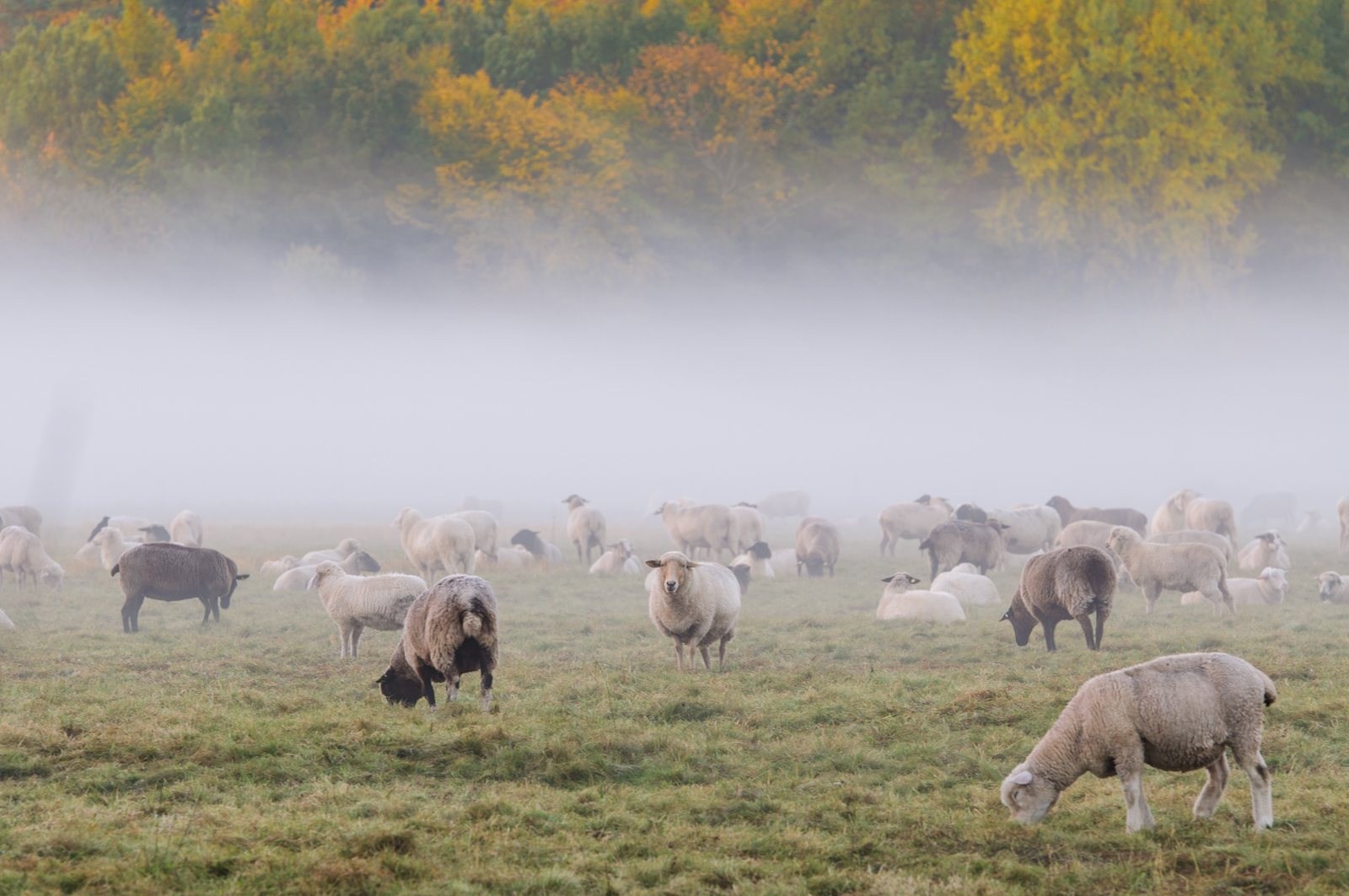 Herbst 2012